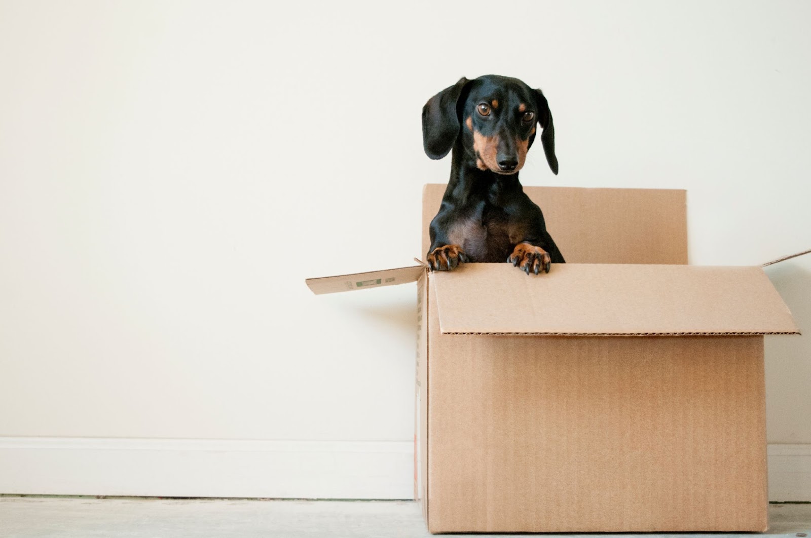 Top Tips For A Stress-Free Move