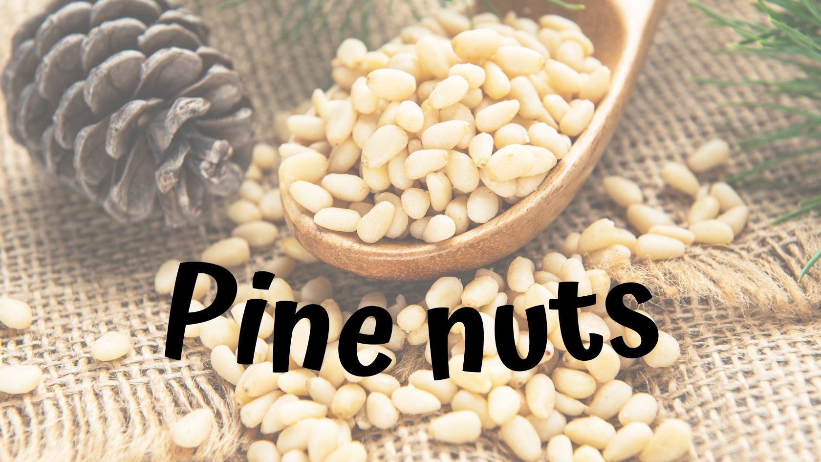 Benefits of pine nuts